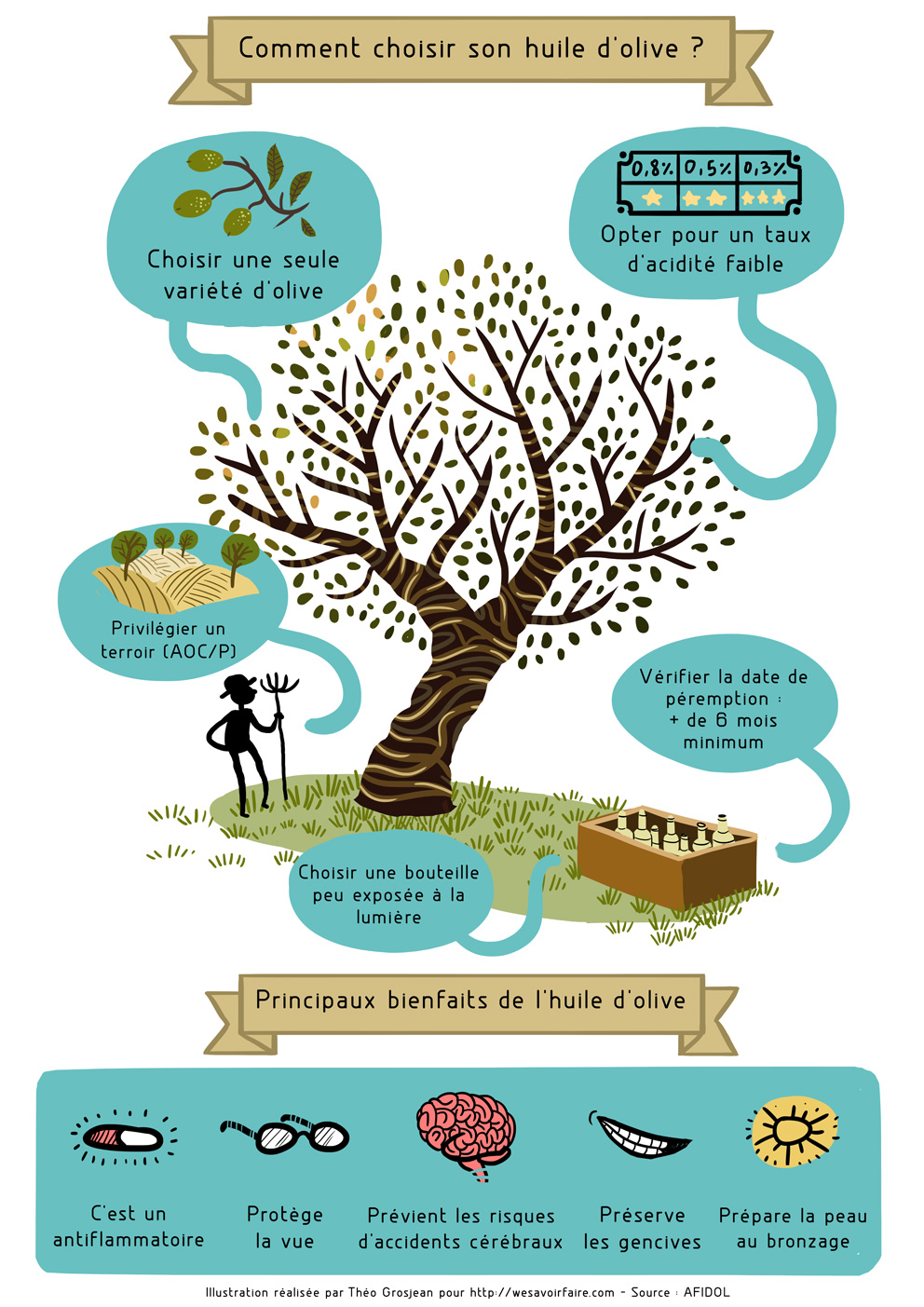 Infographie choisir bienfaits huile olives france